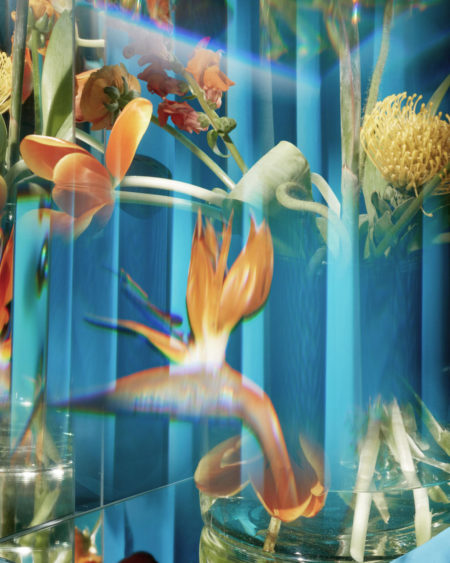 Green gallery by mathilde karrer