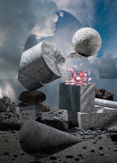 Wasteland dream for trendland by mathilde karrèr