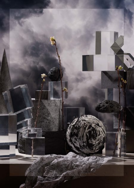 Wasteland dream for trendland by mathilde karrèr