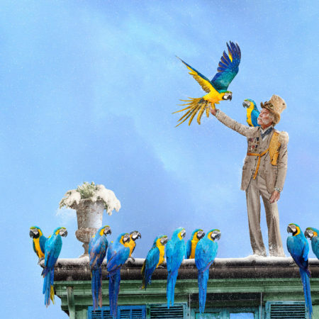 Zeynep represents flying houses le charmeur d& jpg ;oiseaux