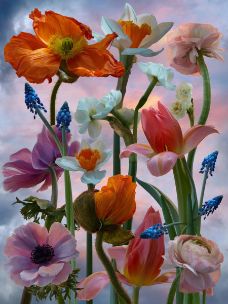 Floral personnal work by mathilde karrèr