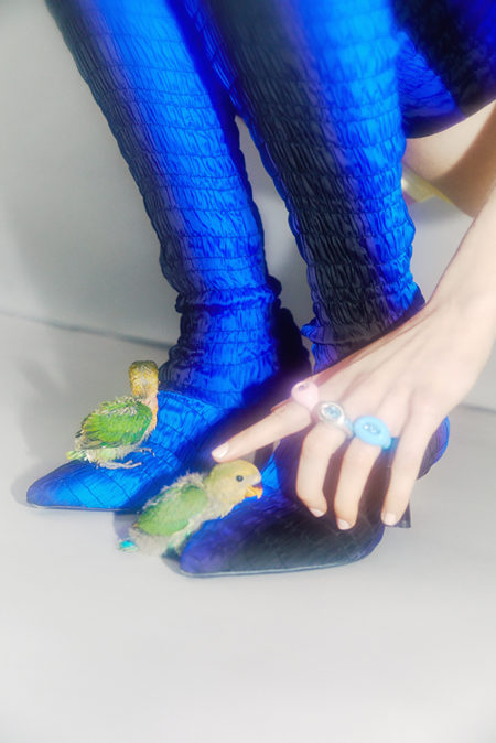 Ruby birdy by diane sagnier