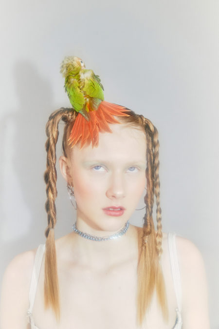 Ruby birdy by diane sagnier