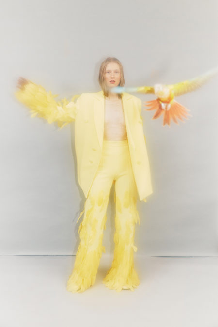 Ruby birdy by diane sagnier