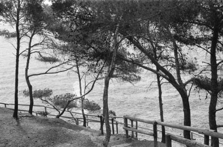 Noo ss by diane sagnier