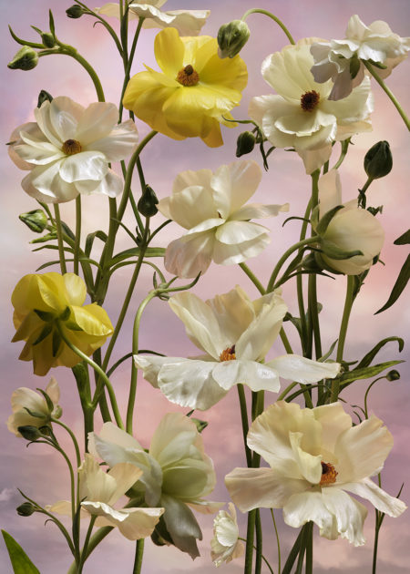 Zeynep represents flowers