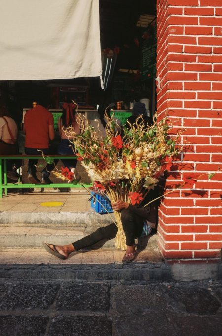 Zeynep represents mexico