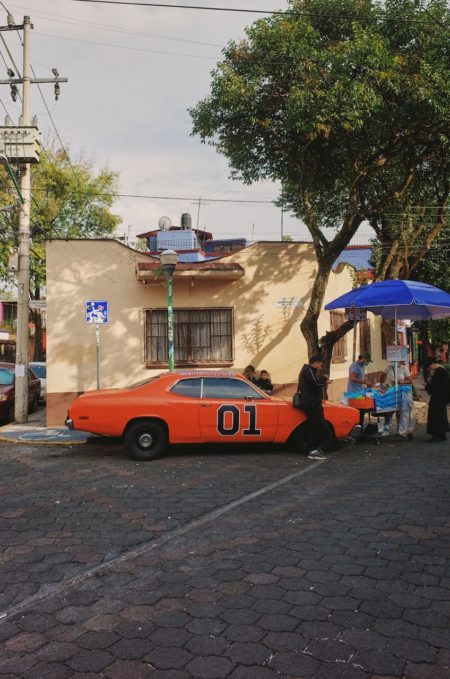 Zeynep represents mexico