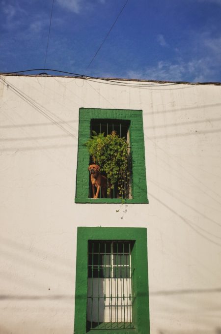 Zeynep represents mexico