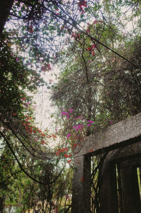 Zeynep represents mexico