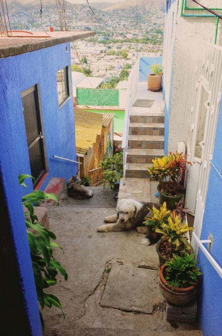 Zeynep represents mexico