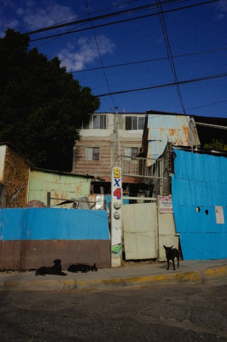 Zeynep represents mexico