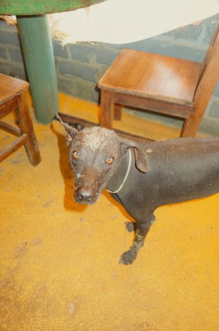 Zeynep represents mexico