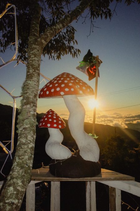 Zeynep represents mexico