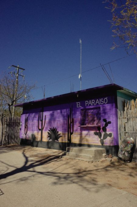 Zeynep represents mexico