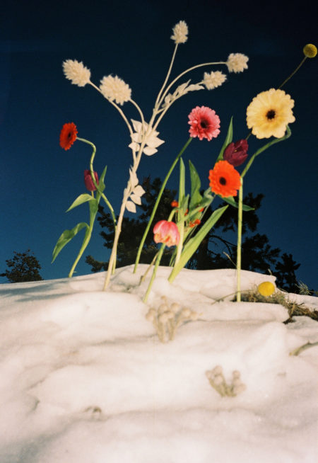 Zeynep represents flowers