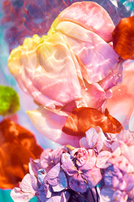 Zeynep represents laia misc