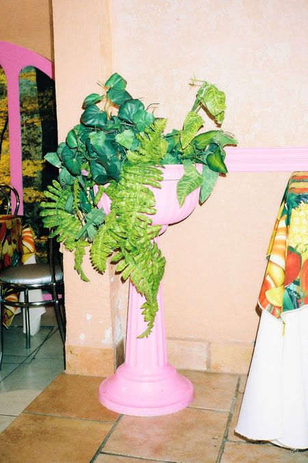 Zeynep represents laia misc