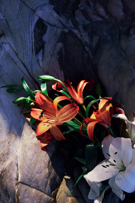 Zeynep represents laia misc