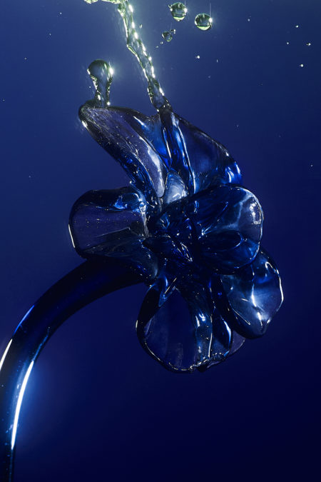 Zeynep represents laia misc