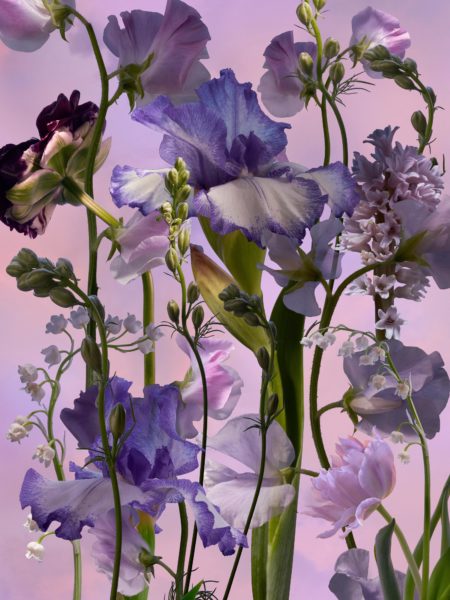 Zeynep represents german iris