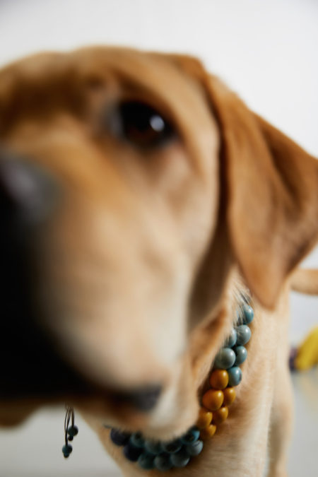 Ida for luna magazine by charlotte cohen