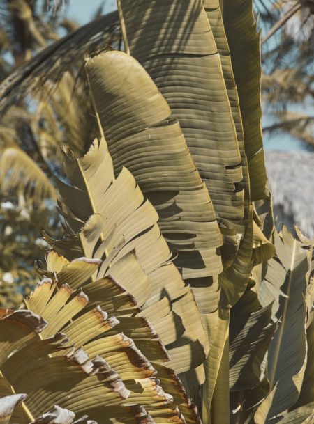 Zeynep talent management creative production portfolio add