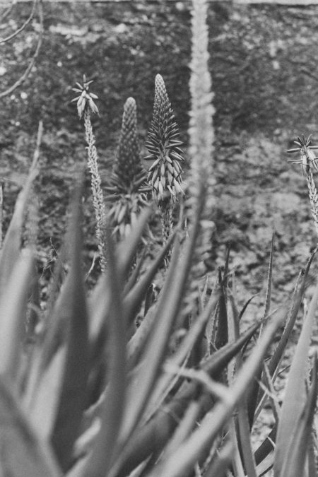 Zeynep talent management creative production portfolio add